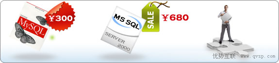 应用服务，MS SQL SERVER 2000 数据库，My Sql数据库空间，互联互通CDN，智能DNS